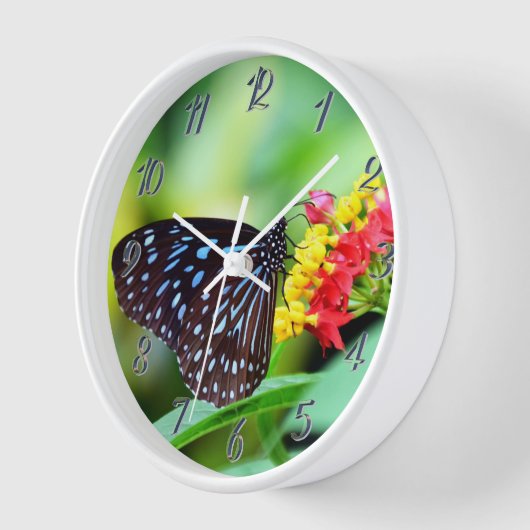 Schmetterling auf der Blume Uhr (Winkel)