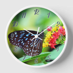Schmetterling auf der Blume Uhr