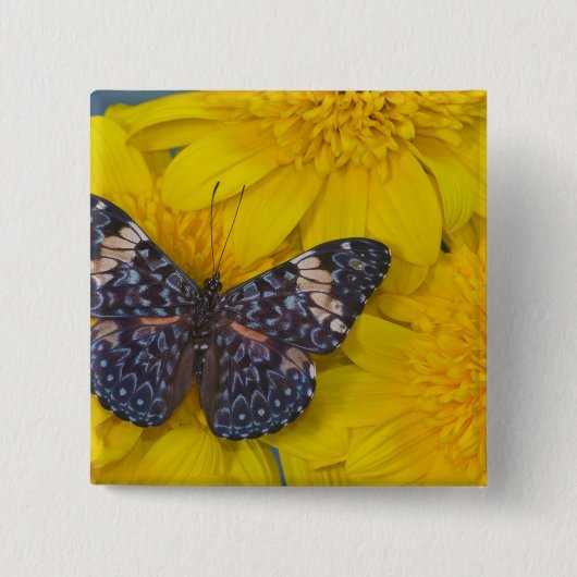 Schmetterling auf der gelben Blume Button (Vorderseite)