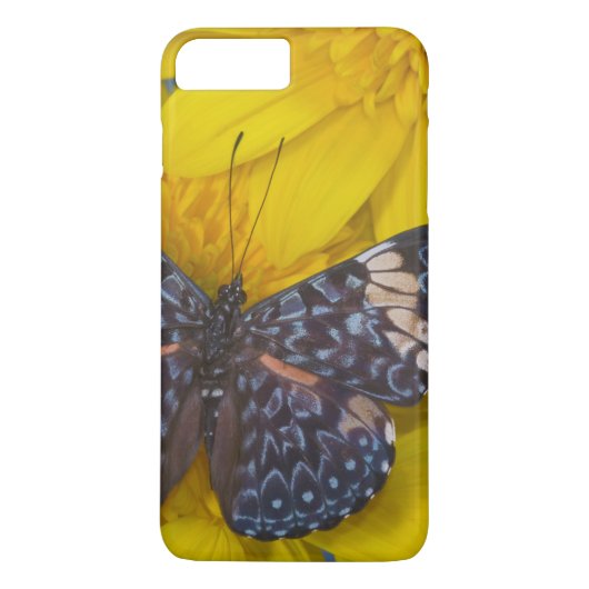 Schmetterling auf der gelben Blume Case-Mate iPhone Hülle (Rückseite)