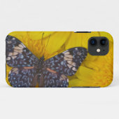 Schmetterling auf der gelben Blume Case-Mate iPhone Hülle (Rückseite (Horizontal))
