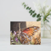 Schmetterling auf der Lavendel Postkarte (Stehend Vorderseite)