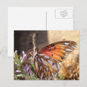 Schmetterling auf der Lavendel Postkarte (Vorne/Hinten)