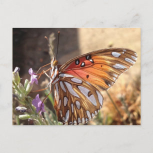 Schmetterling auf der Lavendel Postkarte
