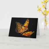 Schmetterling auf der Marigold Scripture Card Isai Karte (Gelbe Blume)