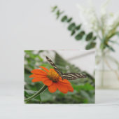 Schmetterling auf der Orange-Blume Postkarte (Stehend Vorderseite)