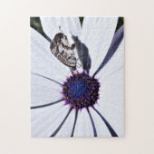 Schmetterling auf der White Daisy | Herausforderun Puzzle (Vertikal)