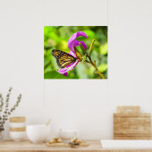 Schmetterling auf einem Blume-Poster Poster (Küche)