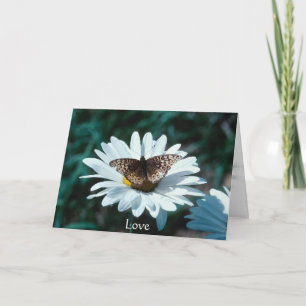 Schmetterling auf einem Gänseblümchen Karte