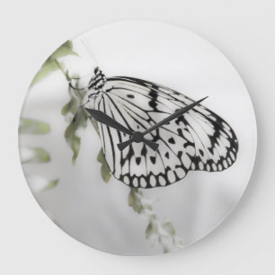 Schmetterling auf einem Zweig Große Wanduhr