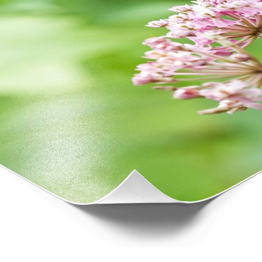 Schmetterling auf einer Blume Fotodruck (Ecke)