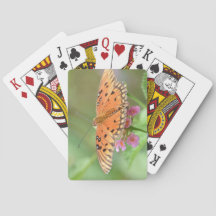 Schmetterling auf einer Blume in einem Park