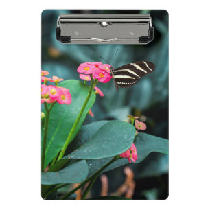 Schmetterling auf einer Blume Mini Klemmbrett