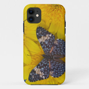 Schmetterling auf einer gelben Blume Case-Mate iPhone Hülle