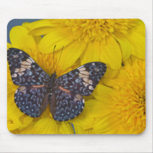 Schmetterling auf einer gelben Blume Mousepad