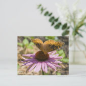 Schmetterling auf einer Lila Blume Postkarte (Stehend Vorderseite)