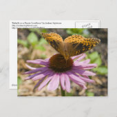 Schmetterling auf einer Lila Blume Postkarte (Vorne/Hinten)