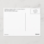 Schmetterling auf einer Lila Blume Postkarte (Rückseite)