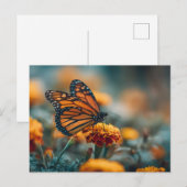 Schmetterling auf einer Ringelblume Postkarte (Vorne/Hinten)