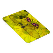 Schmetterling auf Gelb Magnet (Rechte Seite)