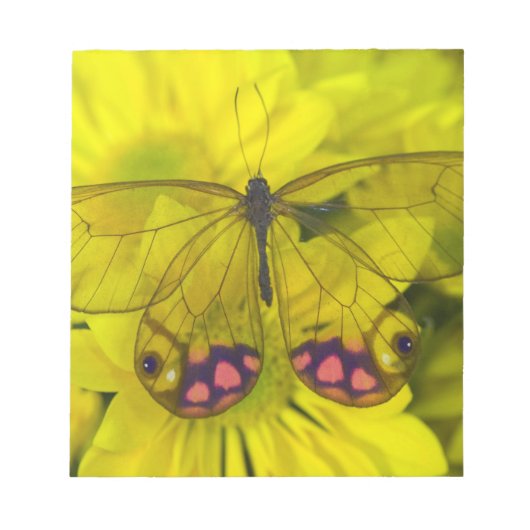 Schmetterling auf Gelb Notizblock (Vorderseite)