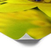 Schmetterling auf Gelb Poster (Ecke)