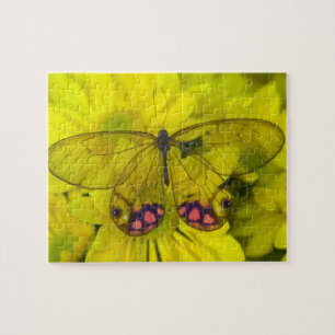 Schmetterling auf Gelb Puzzle