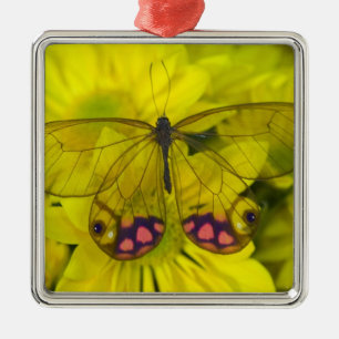 Schmetterling auf Gelb Silbernes Ornament