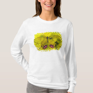 Schmetterling auf Gelb T-Shirt