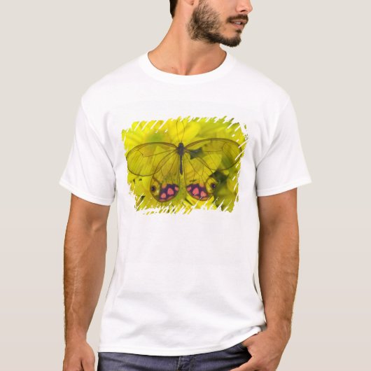 Schmetterling auf Gelb T-Shirt (Vorderseite)