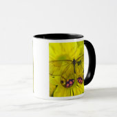 Schmetterling auf Gelb Tasse (VorderseiteRechts)