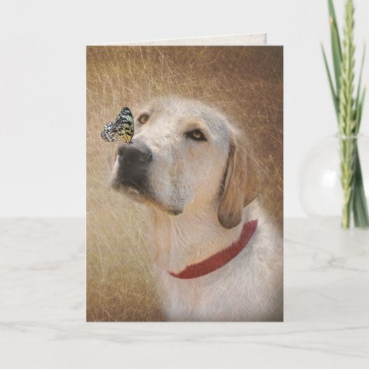 Schmetterling auf gelbem Labrador Retriever Karte (Vorderseite)