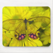 Schmetterling auf gelben Blumen Mousepad (Vorne)