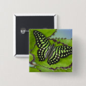 Schmetterling auf Grün Button (Vorne & Hinten)
