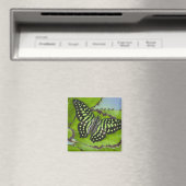 Schmetterling auf Grün Magnet (In Situ (Geschirrspüler))