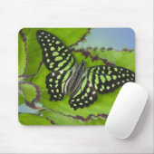 Schmetterling auf Grün Mousepad (Mit Mouse)