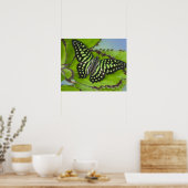 Schmetterling auf Grün Poster (Küche)