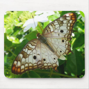 Schmetterling auf Jasmin Tropische Naturfotografie Mousepad