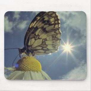 Schmetterling auf Kamillen-Blume mit Sonne, Mousepad