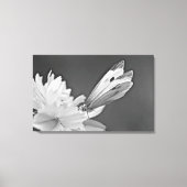 Schmetterling auf Kosmos in Schwarz und Weiß Leinwanddruck (Vorderseite)