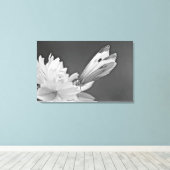 Schmetterling auf Kosmos in Schwarz und Weiß Leinwanddruck (Insitu (Holzboden))