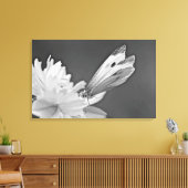Schmetterling auf Kosmos in Schwarz und Weiß Leinwanddruck (Insitu (Wohnzimmer))