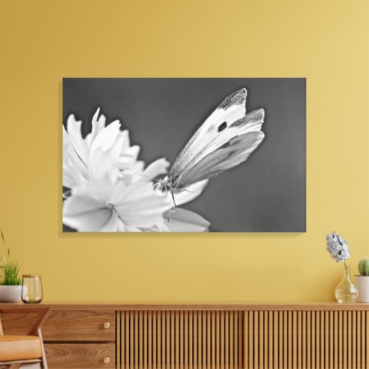 Schmetterling auf Kosmos in Schwarz und Weiß Leinwanddruck (Insitu (Wohnzimmer))