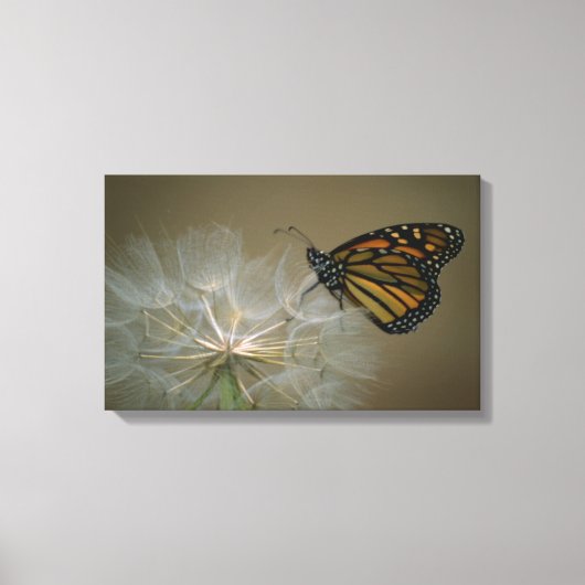 Schmetterling auf Kronleuchter Leinwanddruck (Vorderseite)