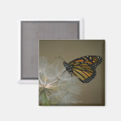 Schmetterling auf Kronleuchter Magnet (Vorderseite/Rückseite)