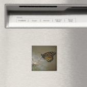 Schmetterling auf Kronleuchter Magnet (In Situ (Geschirrspüler))