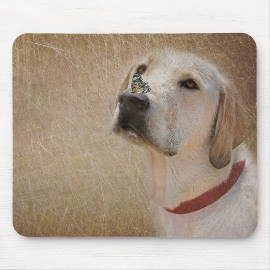 Schmetterling auf Labrador Retriever's Nase Mousepad (Vorne)