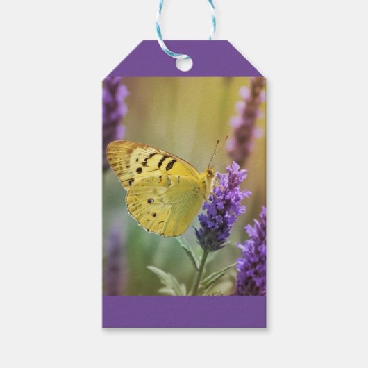 Schmetterling auf Lavendel Geschenkanhänger (Vorderseite)