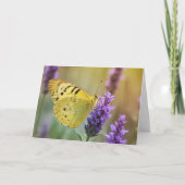 Schmetterling auf Lavendel Karte (Vorderseite)