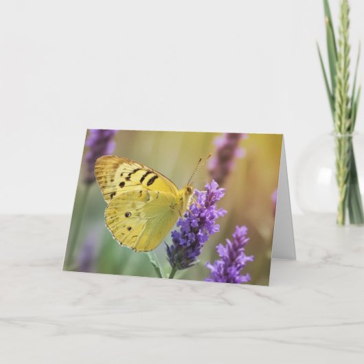Schmetterling auf Lavendel Karte (Vorderseite)